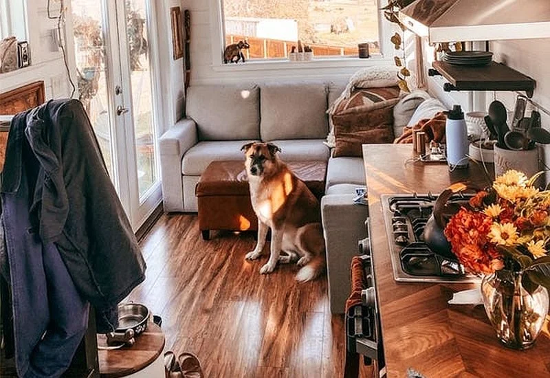 Can I Have Pets In A Tiny Home?