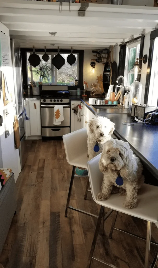 Can I Have Pets In A Tiny Home?