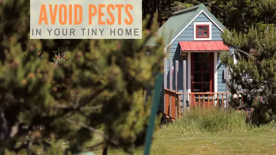 How Do Tiny Homes Deal With Pests?